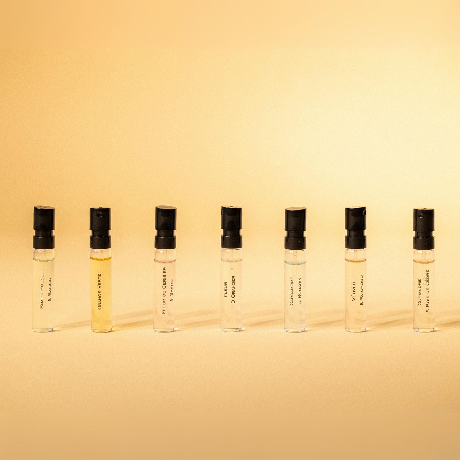 Set Descubrimiento - 7 muestras - Oferta para profesionales