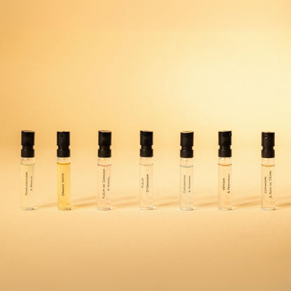 Set Descubrimiento - 7 muestras - Oferta para profesionales